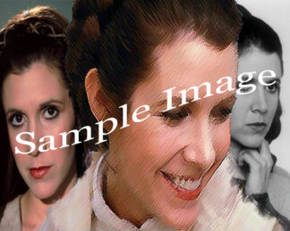 Carrie Fisher Tribute (8x10 Glossy Print)